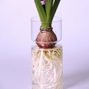 Desktop Glass Planter for Hydroponics Plants Home Garden Wedding Decor