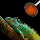 Pet Supply Reptile Heating Lamp 25W 50W 200W Far Infrared Heat Emitter 200W