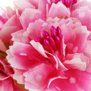 6pcs 4cm Artificial carnation flowers Stamen silk flower bouquet for weddin X4A2