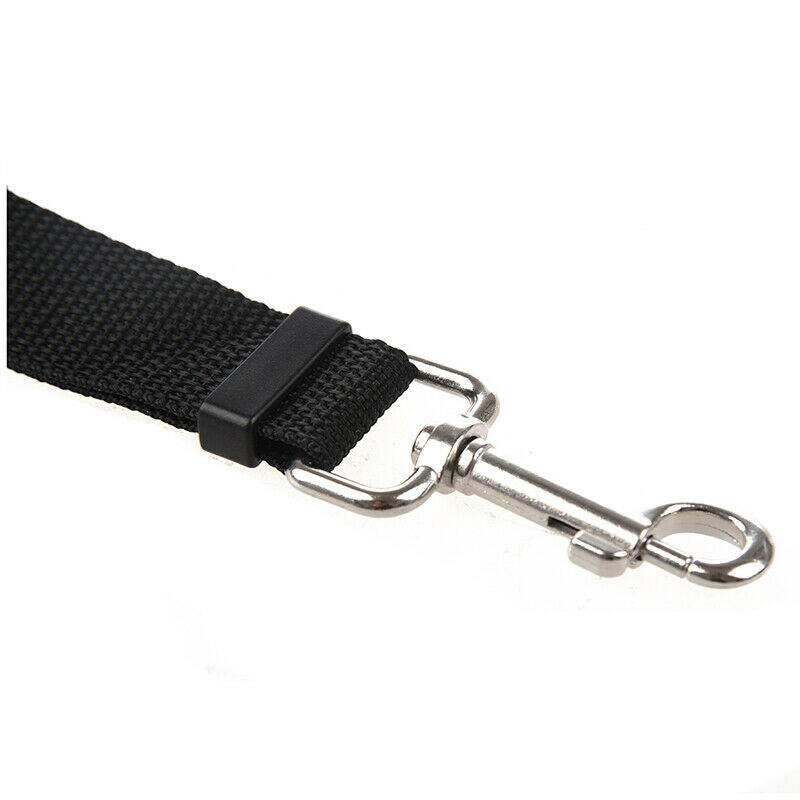 black 20m Long Dog Puppy Pet Puppy Training Obedience Lead Leash X3L5