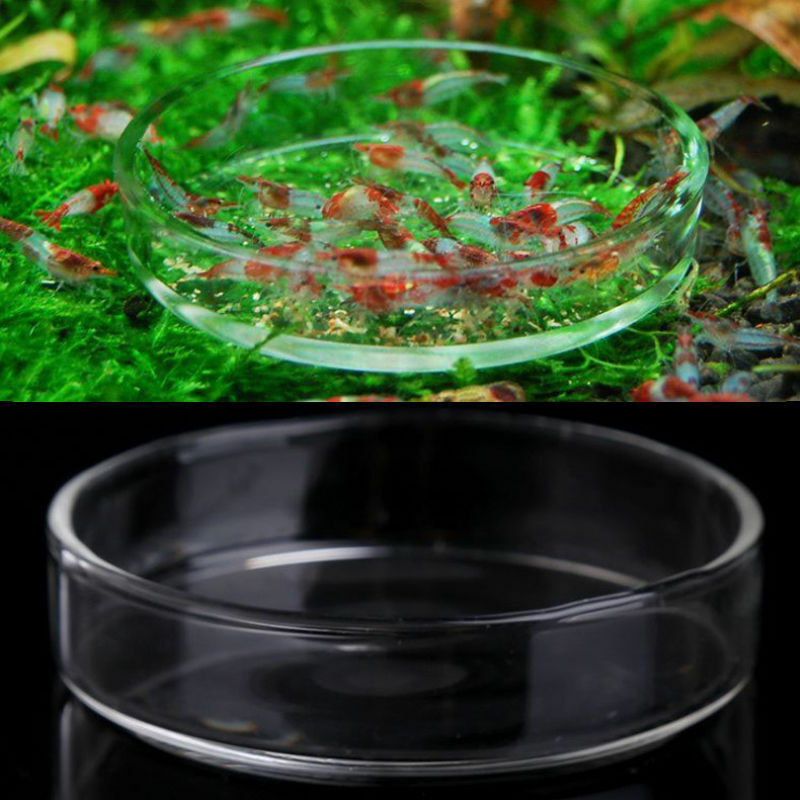 Aquarium Fish Tank Clear Acrylic Shrimp Feeding Food Dish Feeder Tray Container