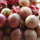 20pcs Tropical Exotic Passion Fruit Seeds Purple Passiflora Edulis GerminationLJ