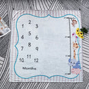 Infant Baby Photography Prop Blanket Mat Newborn Milestone Backdrop Cloth