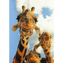 5D DIY Full Drill Diamond Painting Cross Stitch Embroidery (Giraffe-k569)