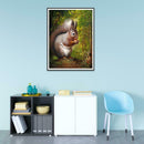 5D DIY Full Drill Diamond Painting Squirrel Cross Stitch Mosaic Kit (W1444)