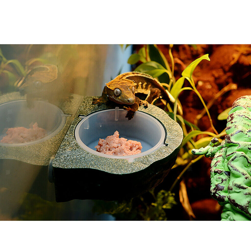2pcs Mini Magnet Feeding Ledge For Gecko Diet, Food or Water & Plastic Cup Bowl