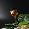 Glass Plant Flower Water Feeder Clear Cat Shaped Glass Plant Flower Holiday