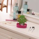 Cactus Shaped Necklace Bracelet Earrings Storage Organizer Jewelry Display