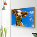 Full Drill Rhinestone Picture DIY Animals Diamond Painting Poster (LD627)