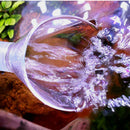 2PCS Clear Lily Pipe Outflow For 12/16mm 16/22mm Tube Aquarium Planted Tank