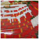 DIY Diamond 5D Embroidery Paintings Rhinestone Pasted diy Christmas paintin