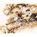 Painting By Numbers Kit DIY Flower Bird Hand Painted Canvas Oil Art Picture