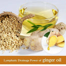 100% PURE Plant Therapy Lymphatic Drainage Ginger Oil |Essential Oils| 30 ml