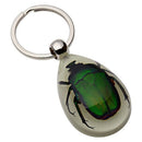 Glow-In-The-Dark Real Insect Keychain (Green Chafer)