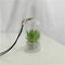 2Pcs Cute Mini Cactus Plant Keychain Keyring Charm Smartphone Pendant Chain