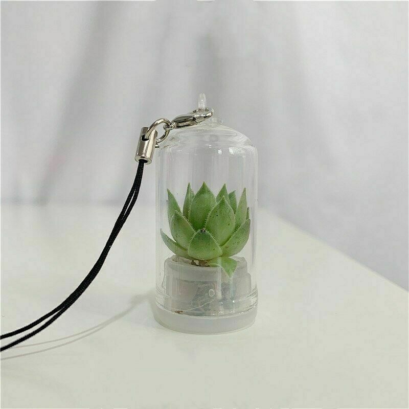 2Pcs Cute Mini Cactus Plant Keychain Keyring Charm Smartphone Pendant Chain