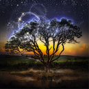5d diy full drill night field tree diamond painting embroidery home decor LJAU