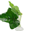 2 Pack Betta Fish Leaf Pad - Improves Betta'S Health By Simulating The Natu R8L8