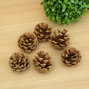 4Pcs Natural pine cones 2-3cm size quality pinecone florists crafts decorativeJR