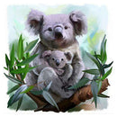 5D DIY Full Drill Diamond Painting Koala Cross Stitch Embroidery Mosaic Kit A