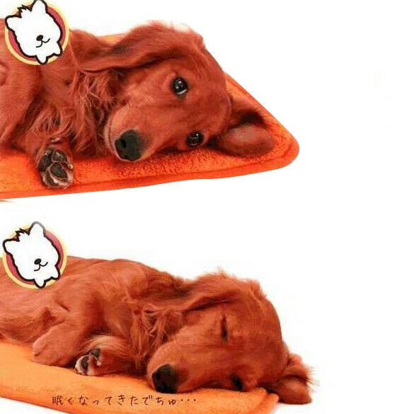 Hot Superior Practical Coral Soft Warm Pet Dog Cat Fleece Blanket Brand New
