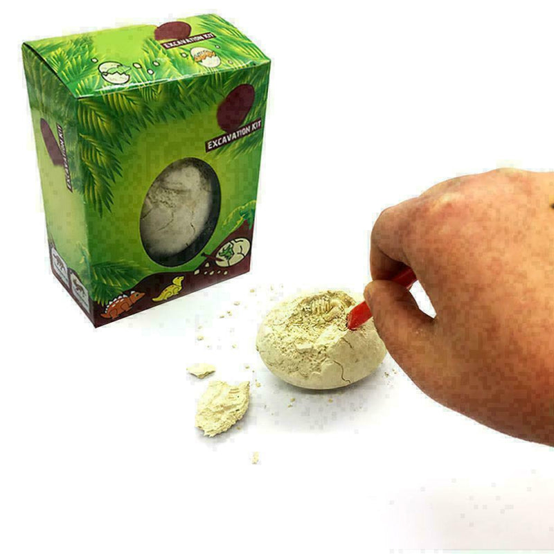 Dinosaur Egg Excavation Kit Archaeology Dig Up History Skeleton Kid Toys W4 B3Z6