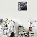 5D DIY Full Drill Diamond Painting Big Grey Cat Cross Stitch Embroidery Kit