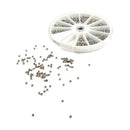 1000Pcs Stainless Steel Screws Set Machine Screws Assortment For PC Glasses