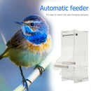 Pet Parrot Automatic Transparent Feeder Birds Splash-proof Food Dispenser