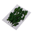 Natural Dried Flowers Bouquet Dry Flowers Decorative Leaf Bouquet ,Real Pressed