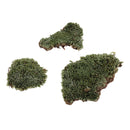 Layout Green Lichen Moss For TRain Railway Diorama Architecture Build Toys
