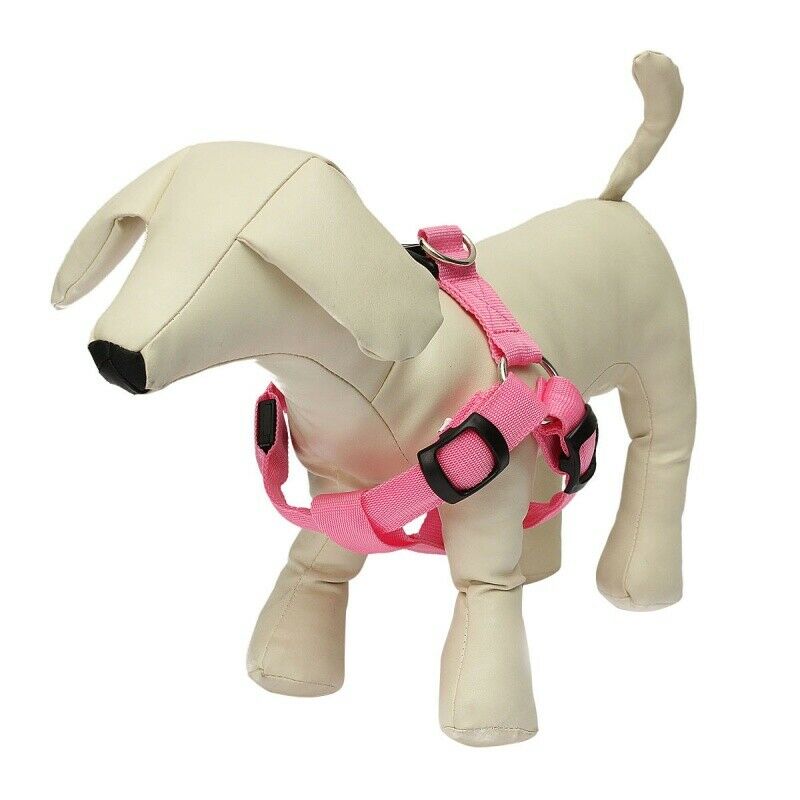 Dog Puppy Safety LED Glow Flashing Light Belt Leash Tether Harness Collar L