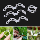 Garden Vegetables Tomato Vine Stalks Grow Upright Support Plant Clips Gift V3V5