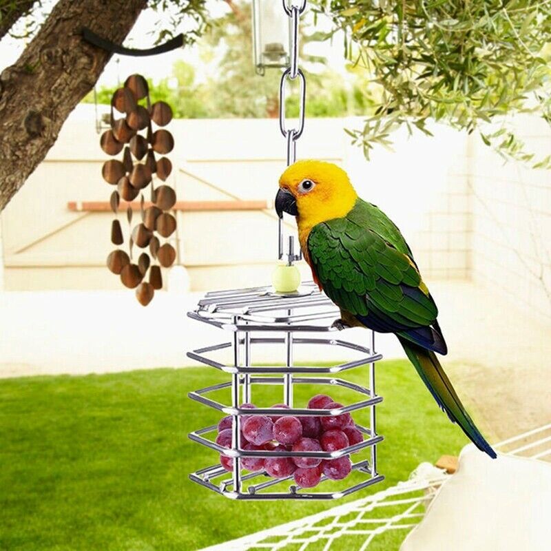Pet Bird Parrot Squirrel Bold Stainless Steel Food Hanging Cage Foraging To