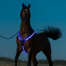 LED Horse Harness Collar Breastplate Reflective Night Riding Horse Bridle Halter