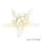 Natural Sea Star Girl Hair Stick Pins Lady Hair Clip Clamp Head Accessories