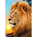5D DIY Full Drill Diamond Painting Lion Cross Stitch Embroidery Mosaic Kit