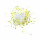 170 pcs. Flower stamens with two pearls head (yellow) U1M7