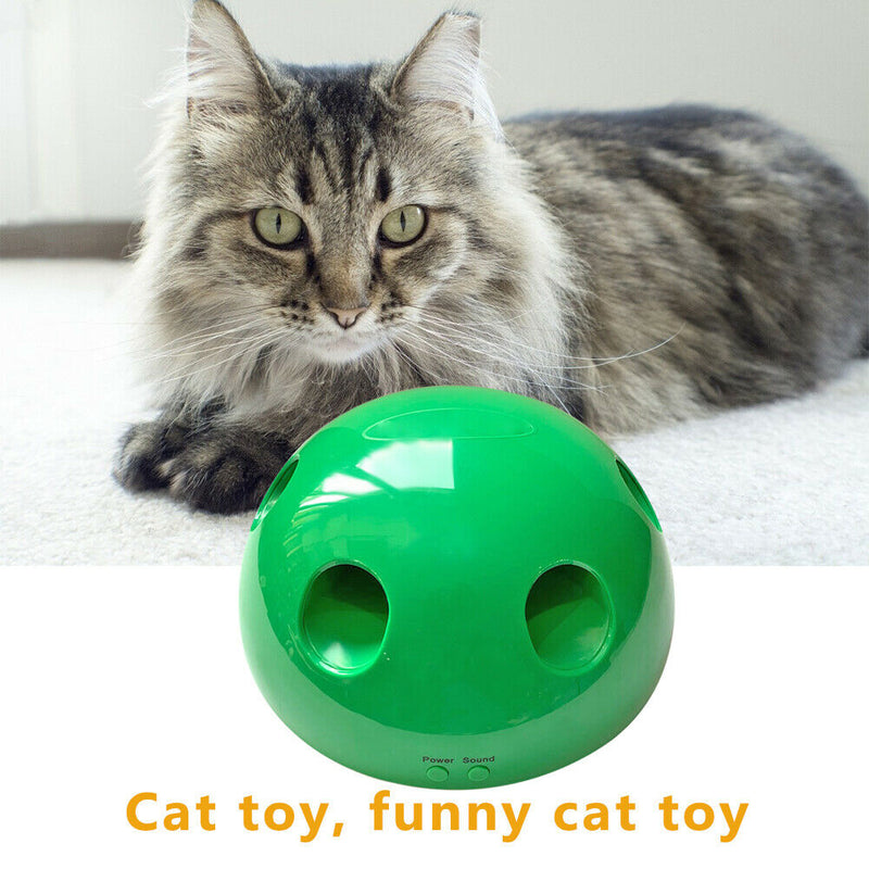 Interactive Pets Cat Toys, Kitten Cat Scratching Games for Indoor Cats