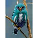 5D DIY Full Drill Diamond Painting Bird Embroidery Mosaic Craft Kits (w610)
