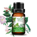 Plant Nourish Massage Essential Oil Promotes Metabolic Essential Antibacter B9F5