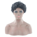 High Temperature Fiber Short Curly Wigs Women Daily False African Hairstyle
