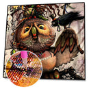 5D DIY Diamond Painting Full Drill Cross Stitch Owl Embroidery Handicrafts