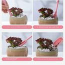 2Pcs Plastic Garden Succulents Transplant Planting Digging Tool Light Blue