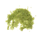50g Natural Peridot Olivine Quartz Stone Rock Chip Lucky Heal Stones.Mineral JR