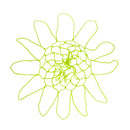 Luminous Bright Color Outdoor Indoor Standard Hoop Replacement Basketball Nets