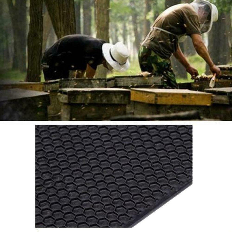 Beehive Brood Bee Wax Honeycomb Apis Cerana Box Foundation J3N5 Beeswax She G0C6