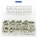 100Pcs Set 5x20mm Quick Blow Glass Tube Fuse Assorted Kits,Fast-blow Glass  P2A7