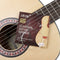 100 Pieces Classical Guitar Nylon Strings E-1 DIY Repair Accessories Parts