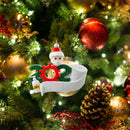 Quarantine Survivor Personalized Survived Family Ornament Christmas Decor
